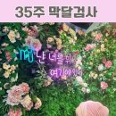 호산부인과의원 | 임신35주 막달검사 비용·시간·금식 총정리/금천 보건소+ 엠제이산부인과 검사/출산준비물/신생아 검사