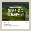 나무회원권거래소 이미지