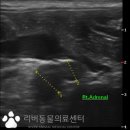 언양 동물병원 이미지