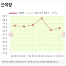 황새울로312번길 | [쥬비스 분당점] 3주차 후기, 분당마운자로 대신 호르몬 정체기 극복하는 법!