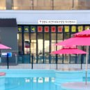 제이 앤 제이 애견 이미지