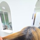 양스헤어 - 강서구 | 흰머리 염색 탈출!고잉그레이 트렌디하게 새치 커버하기