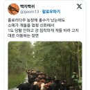 소떼농장