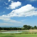 CC카써비스 이미지