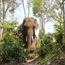 유필학원 이미지