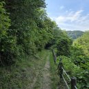 왕피천 은어길 이미지