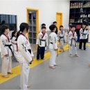 국가대표 탑 태권도장 이미지