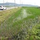 송해면사무소 이미지