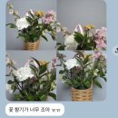 뷰티월드플라워 | 광교꽃집 딤플스플라워 감각적인 꽃바구니 선물 후기