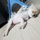 개터 이미지