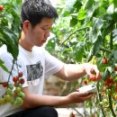 양현농장 네이버블로그