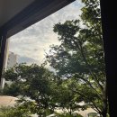 오후의꽃집 - 태안군 군청10길 13 | 오후의꽃집