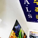 보람수족관