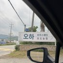 안성 오하 하우스 웨딩 하객 후기｜자연광 예쁜 웨딩홀, 분위기 최고였어요