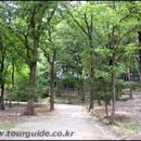 경기목장 이미지