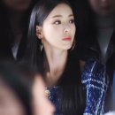 와우애견 이미지