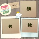 담양클로버 이미지