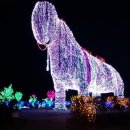 맑고 향기롭게 이미지