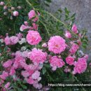 자현당한옥스테이 이미지