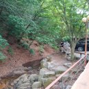 서대전농협주유소 이미지