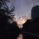 종로-연건-종로-연-287 | 소확행