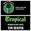 (주)그레이프인터내셔널 이미지