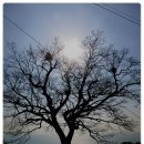 종운이네집 이미지