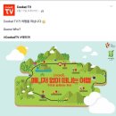 솜세상