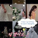 본식 아이폰 스냅 업체 추천 노드 스냅 계약 후기, 짝꿍 코드 공유