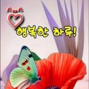건강하고 아름답게