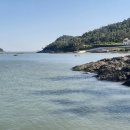 진도대교 민박 이미지