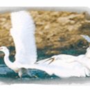 남선초교 이미지