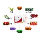 유니시티코리아(유) | 피로 해결, 집중력 풀 충전! 직장인, 학생 필수템! 유니시티 바이오스 라이프 E 에너지 리얼 후기