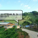 야초목장 이미지