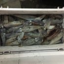 밤바야컴퍼니