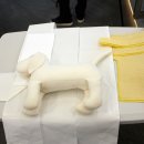 (주)한국반려동물아카데미 네이버블로그