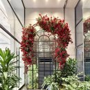 바이글라스(by glass) 이미지