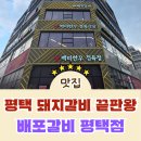 새로연 | 평택 돼지갈비 가성비 끝판왕, 새로 문 연 ‘배포갈비 평택점’ 솔직후기