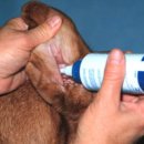 하일동물병원 이미지