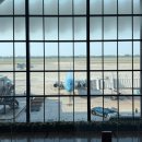 공항길 | 호치민공항 The Butter Bean 후기 (달랏 가는길)
