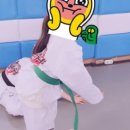 리틀타이거 태권도 이미지