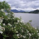 한강둔치길 이미지