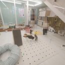 츄냥이 하우스 이미지