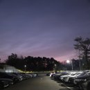 새벽바다 | 🌅 정동진 아침 일출 솔직 후기 | 강릉 동해바다 새벽 감성 여행