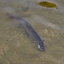 후곡약수터 이미지