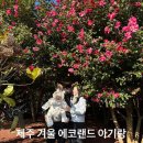 동백팜 | 제주 겨울 에코랜드 아기랑, 동백꽃 티켓 할인 수유실 유모차 등