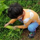 귀농귀촌체험민박 이미지