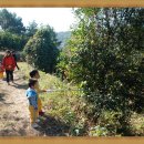 짝꿍숲어린이집 이미지