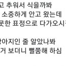 솔로몬간판