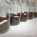 커피바리스타 이미지